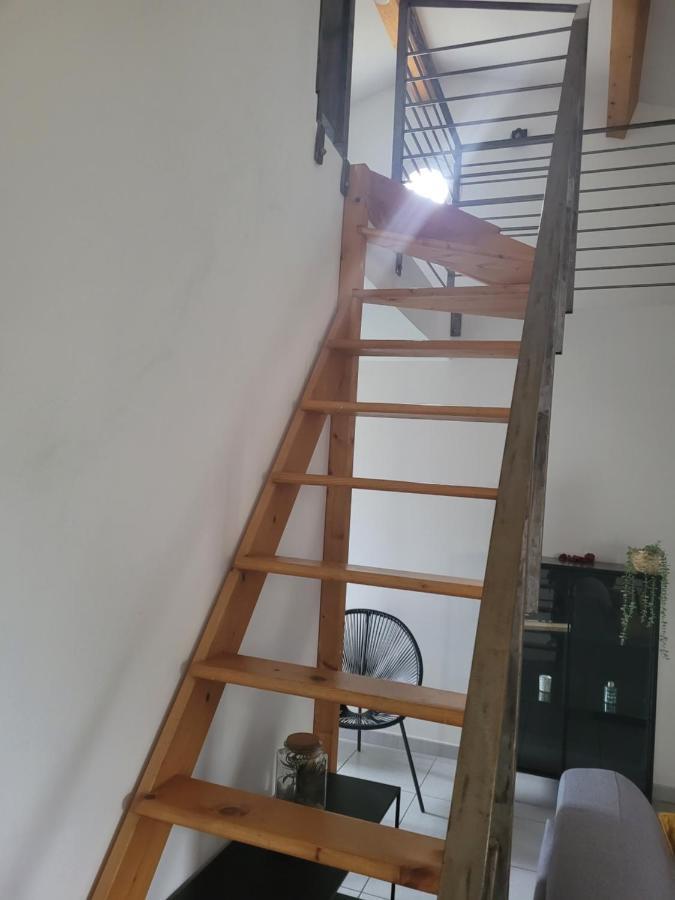 Appartement Avec Exterieur Aigues-Mortes Exteriör bild
